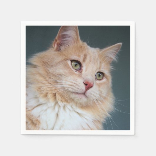 de heer Handsome Servet (Voorkant)