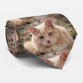 de heer Handsome Stropdas (Opgerold)