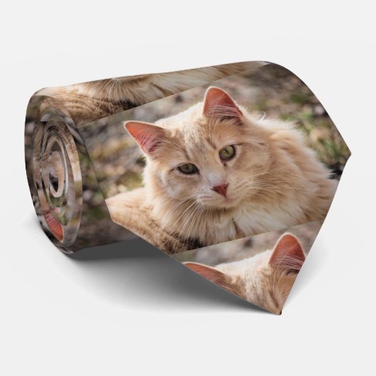 de heer Handsome Stropdas (Opgerold)