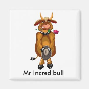de heer Ingeloofbull Magneet