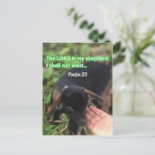 De Heer is mijn Bijbelse Afbeelding van Shepherd Briefkaart (Staand voorkant)