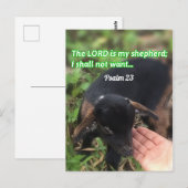 De Heer is mijn Bijbelse Afbeelding van Shepherd Briefkaart (Voorkant / Achterkant)