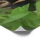 De Heer is mijn Bijbelse Afbeelding van Shepherd Poster (Hoek)