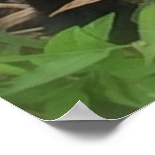 De Heer is mijn Bijbelse Afbeelding van Shepherd Poster (Hoek)