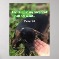 De Heer is mijn Bijbelse Afbeelding van Shepherd