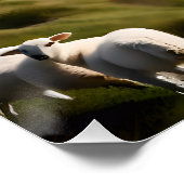 De HEER is mijn herder Poster (Hoek)