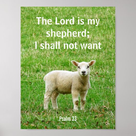 De Heer is mijn herder, psalm 23, een lam poster (Voorkant)