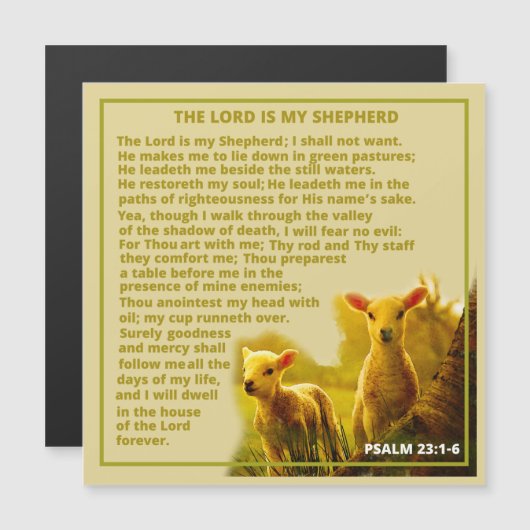 De Heer is mijn Shepherd (Voorkant / Achterkant)