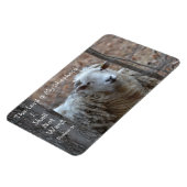 De Heer is mijn Shepherd Magneet (Linkerzijde)
