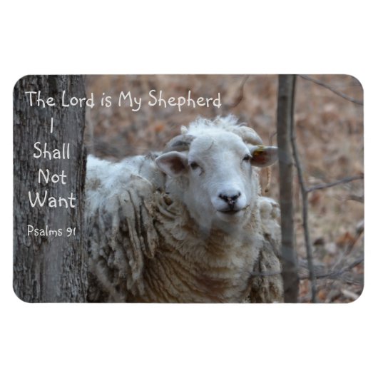 De Heer is mijn Shepherd Magneet (Horizontaal)