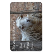 De Heer is mijn Shepherd Magneet (Verticaal)