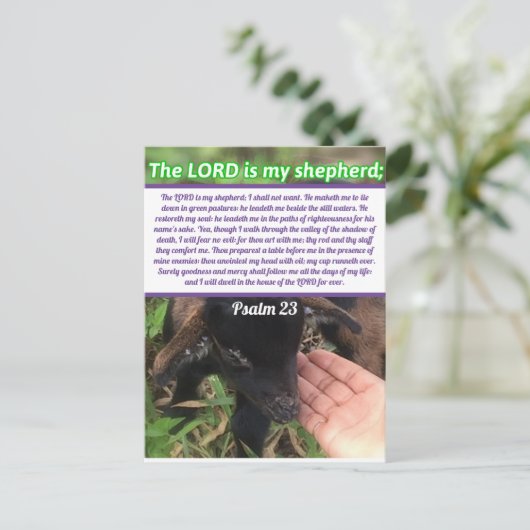 De Heer is mijn Shepherd Psalm 23 Bijbelversie Briefkaart (Staand voorkant)