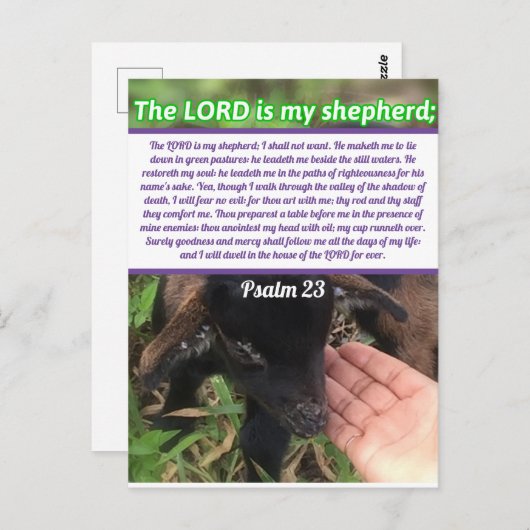 De Heer is mijn Shepherd Psalm 23 Bijbelversie Briefkaart (Voorkant / Achterkant)