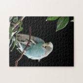 de heer Jill Budgie Puzzle Legpuzzel (Horizontaal)
