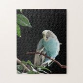 de heer Jill Budgie Puzzle Legpuzzel (Verticaal)