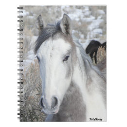 de heer Kat Notebook Notitieboek