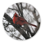 De heer keramische knop (Voorkant)