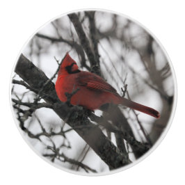 De heer keramische knop