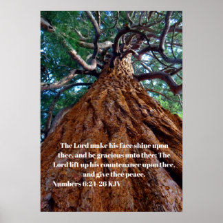 De Heer laat zijn gezicht schijnen, verstijfd Poster