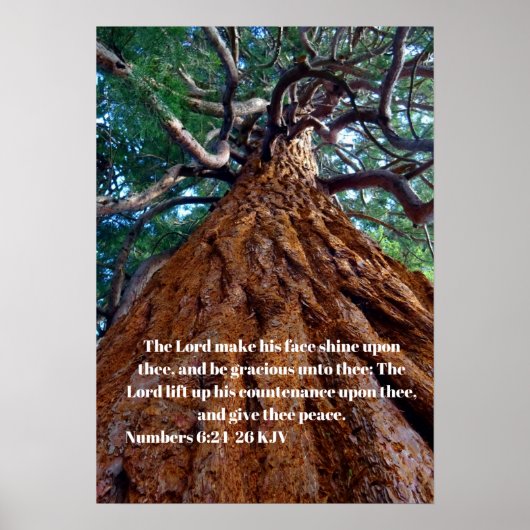 De Heer laat zijn gezicht schijnen, verstijfd Poster (Voorkant)