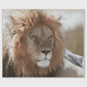 DE HEER LION CADEAUPAPIER (Vlak)