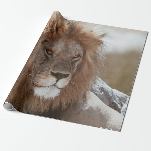 DE HEER LION CADEAUPAPIER (Uitgerold)