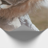 DE HEER LION CADEAUPAPIER (Hoek)