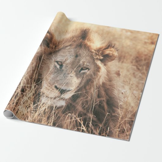 DE HEER LION KING CADEAUPAPIER (Uitgerold)