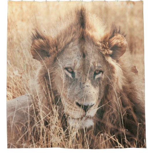 DE HEER LION KING DOUCHEGORDIJN (Voorkant)