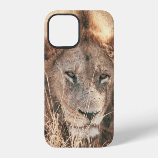 DE HEER LION KING iPhone HOESJE (Achterkant)