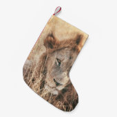 DE HEER LION KING KLEINE KERSTSOK (Voorkant (Hangend))