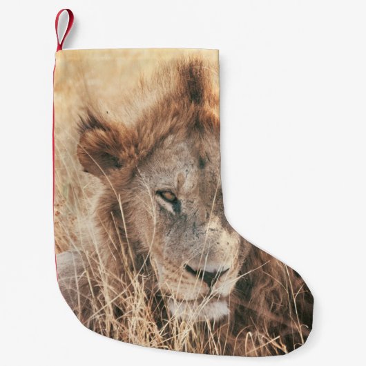 DE HEER LION KING KLEINE KERSTSOK (Voorkant)