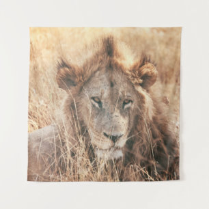 DE HEER LION KING WANDKLEED