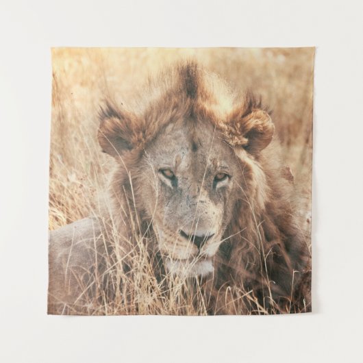DE HEER LION KING WANDKLEED (Voorkant)