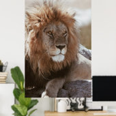 DE HEER LION POSTER (Thuiskantoor)
