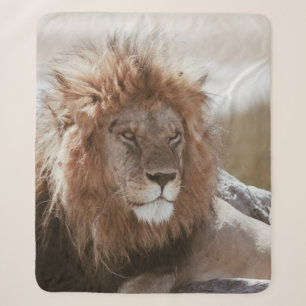 DE HEER LION SHERPA DEKEN