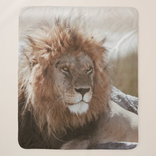 DE HEER LION SHERPA DEKEN (Voorkant)