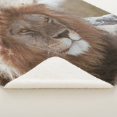 DE HEER LION SHERPA DEKEN (3/4)