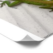 de heer Lizard Poster (Hoek)