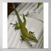 de heer Lizard Poster (Voorkant)