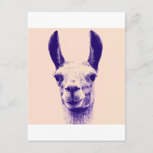 de heer Llama Briefkaart