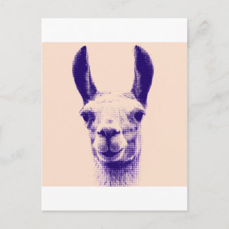 de heer Llama Briefkaart