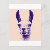 de heer Llama Briefkaart (Voorkant)