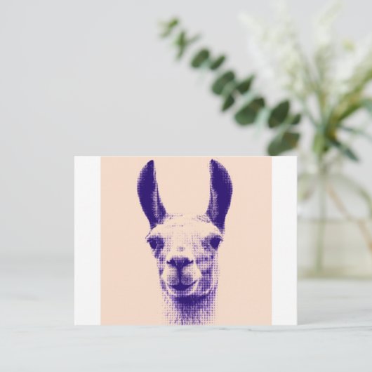de heer Llama Briefkaart (Staand voorkant)