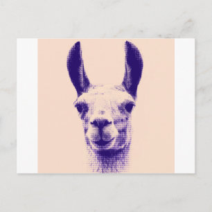 de heer Llama Briefkaart