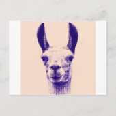 de heer Llama Briefkaart (Voorkant)