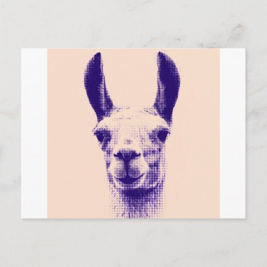 de heer Llama Briefkaart (Voorkant)