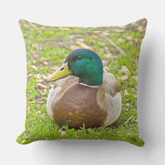 De heer Mallard the Duck Buitenkussen (Voorkant)