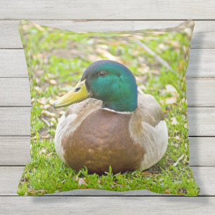 De heer Mallard the Duck Buitenkussen