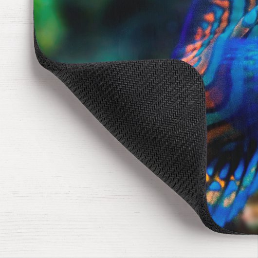 de heer Mandarin Muismat (Hoek)